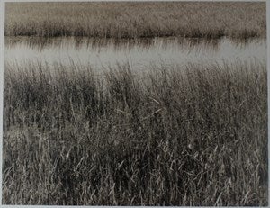 Image description is not available for DU2024.90